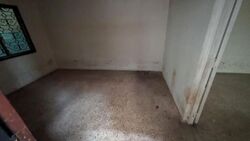 Sembawang Hills Estate (D20), Terrace #546679311